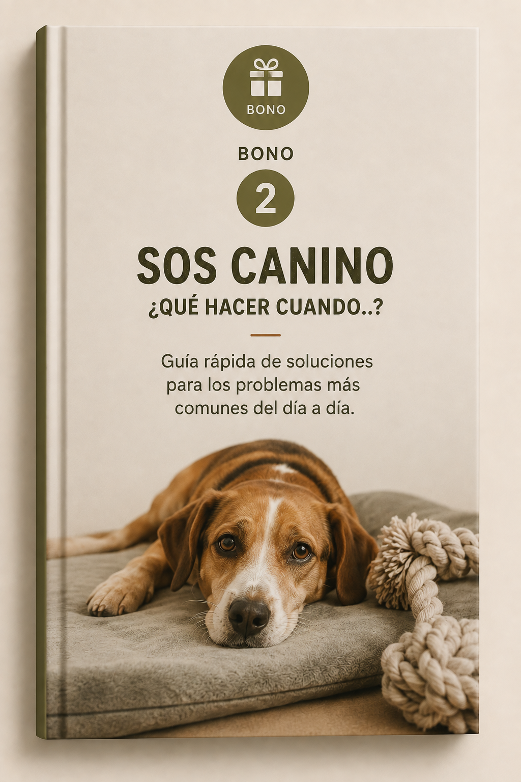 DE CAOS A CALMA — METODO EDUCACION CANINA + 4 SUPER BONOS